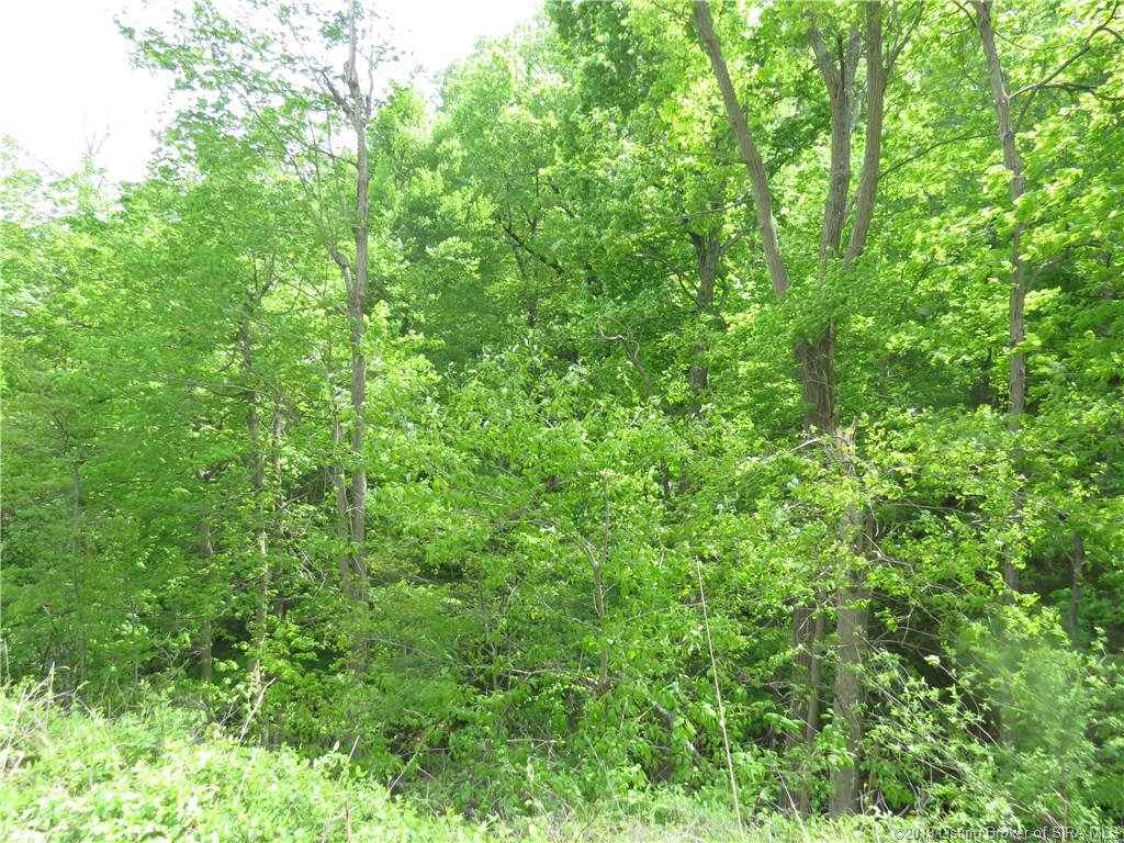 Glass Overlook Road Southeast Elizabeth, IN 47117 - Photo 7 of 16 Gallery Image 7