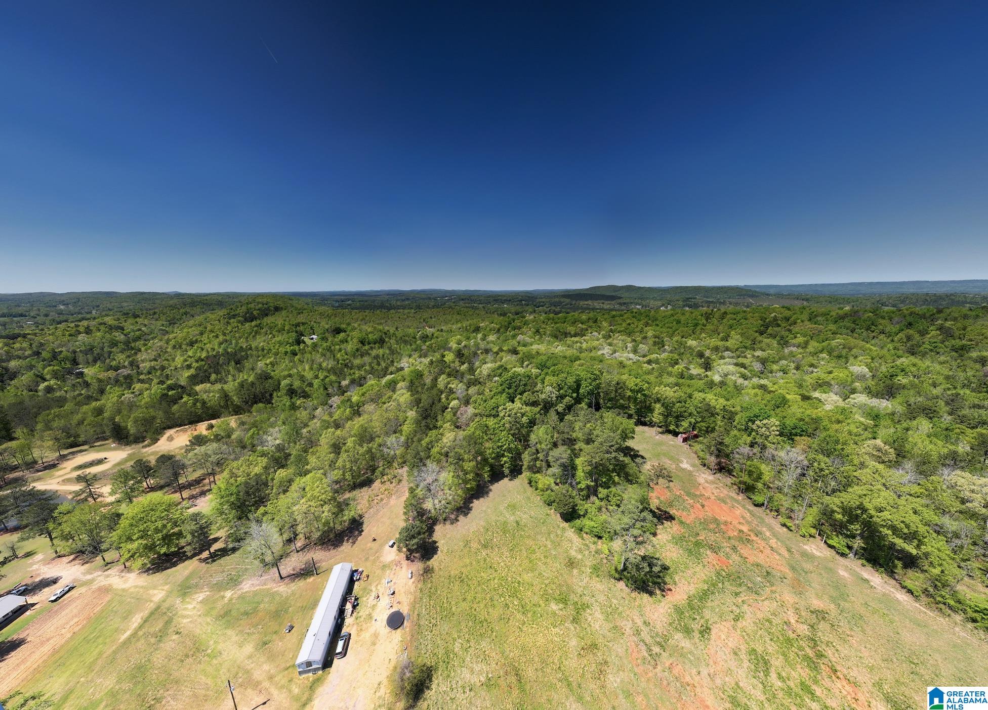 0 Pike Hill Road Ashville, AL 35953 - Photo 16 of 22