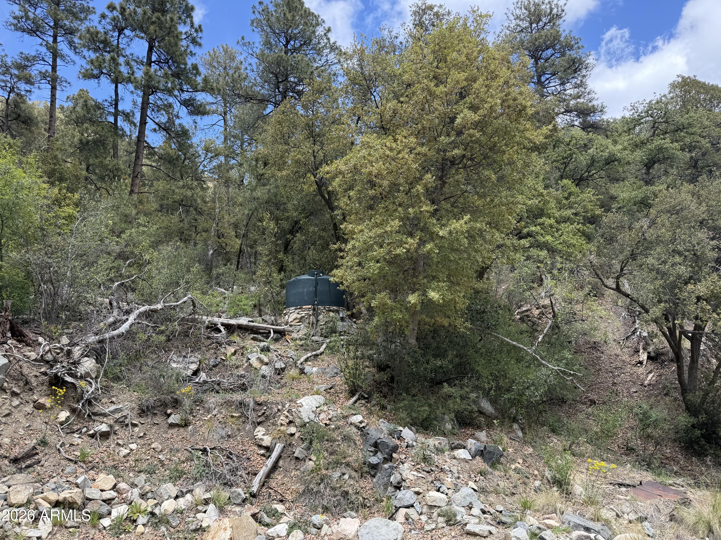 22406 South Eagle Mine Road Crown King, AZ 86343 - Photo 20 of 20 a view of a forest with lots of trees