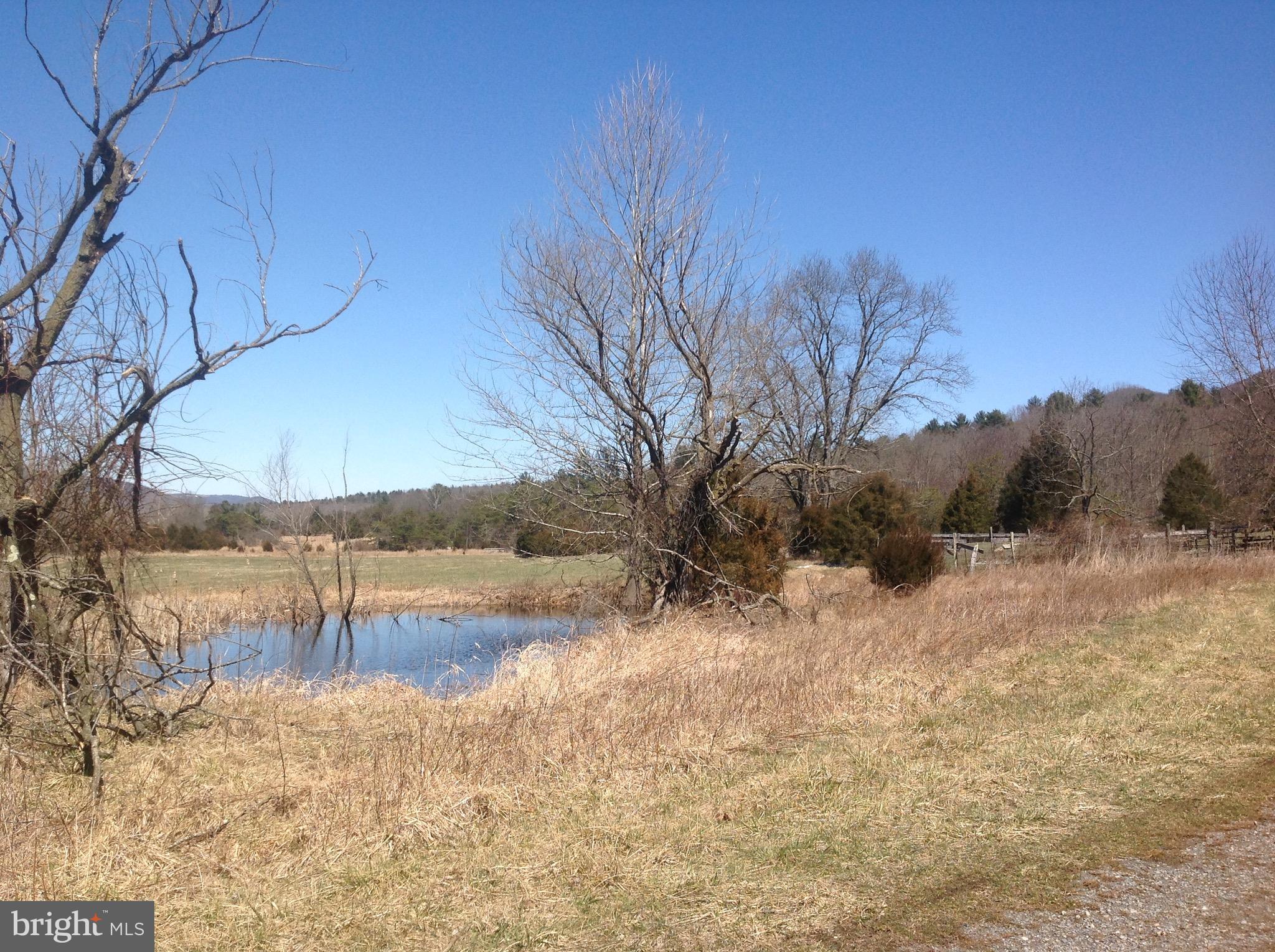 12125 State Road 259 Mathias, WV 26812 - Photo 12 of 40 Pond