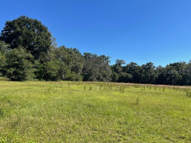 441 N Highway Citra, FL 32113 - Photo 2 of 5 a view of an outdoor space and a yard
