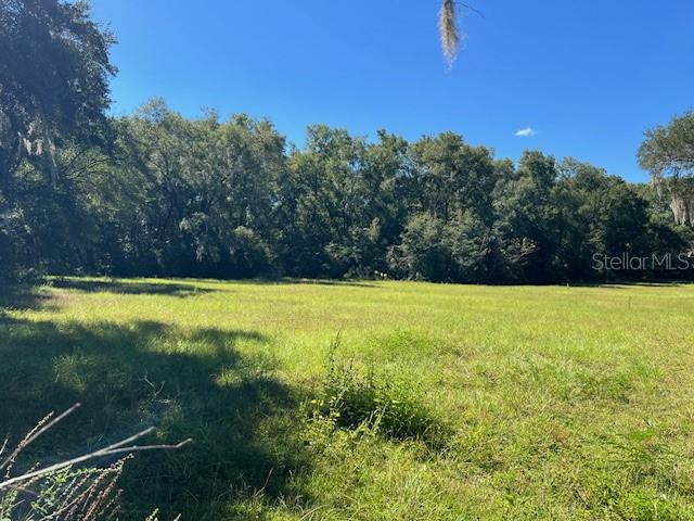441 N Highway Citra, FL 32113 - Photo 4 of 5 a view of outdoor space with swimming pool and green space