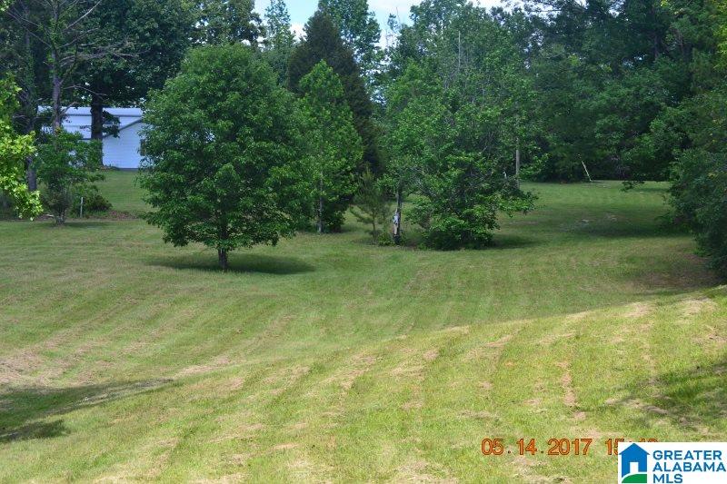 2257 County Road 55 Clanton, AL 35046 - Photo 13 of 35