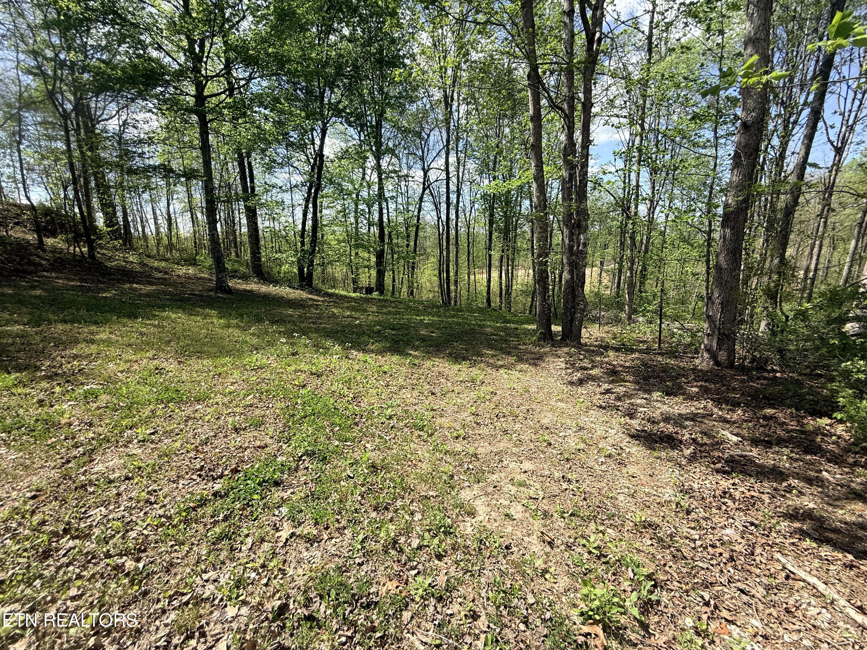 242 Joe Barnett Road Jamestown, TN 38556 - Photo 19 of 24 IMG_3575