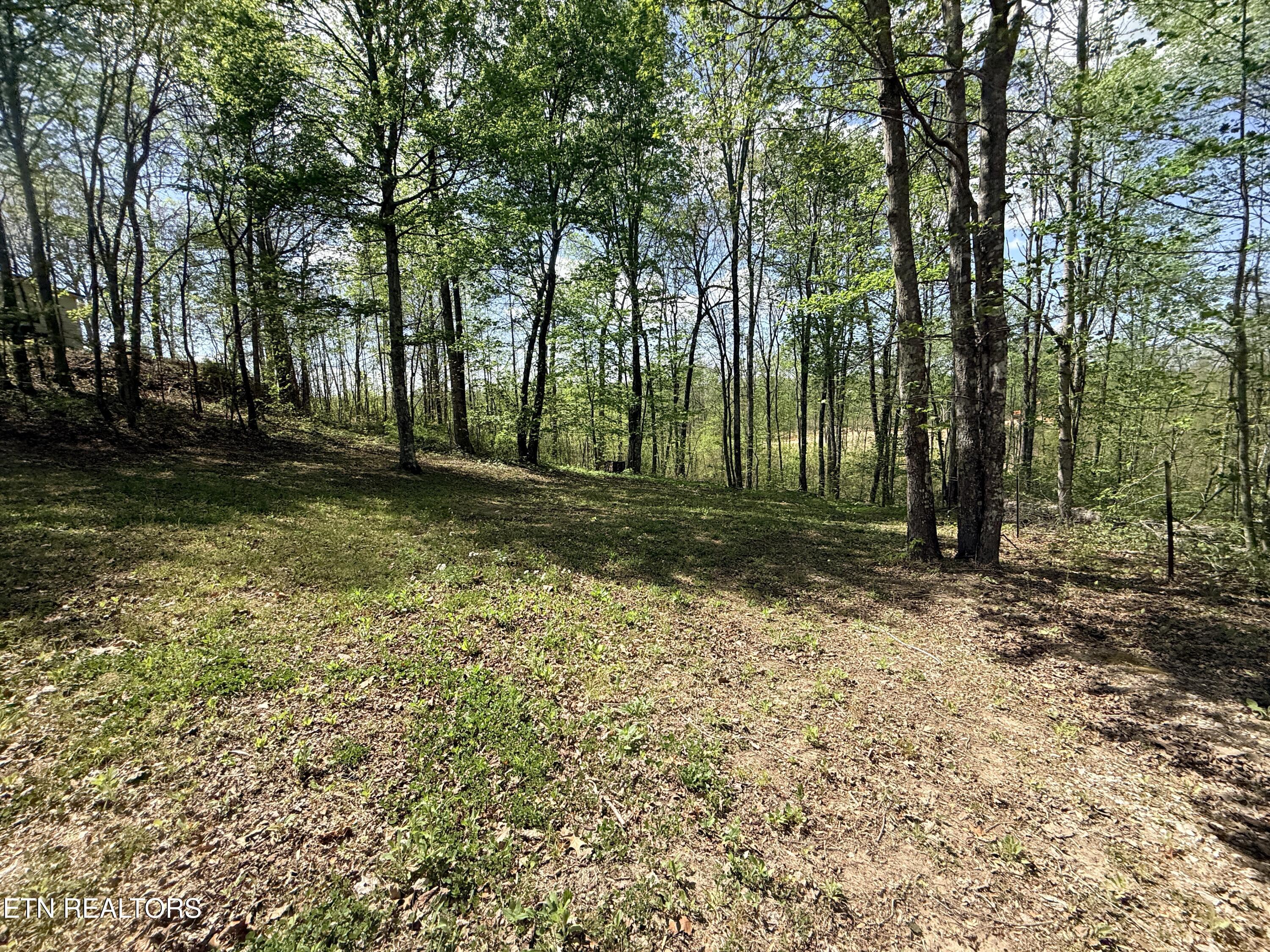 242 Joe Barnett Road Jamestown, TN 38556 - Photo 20 of 24 IMG_3576