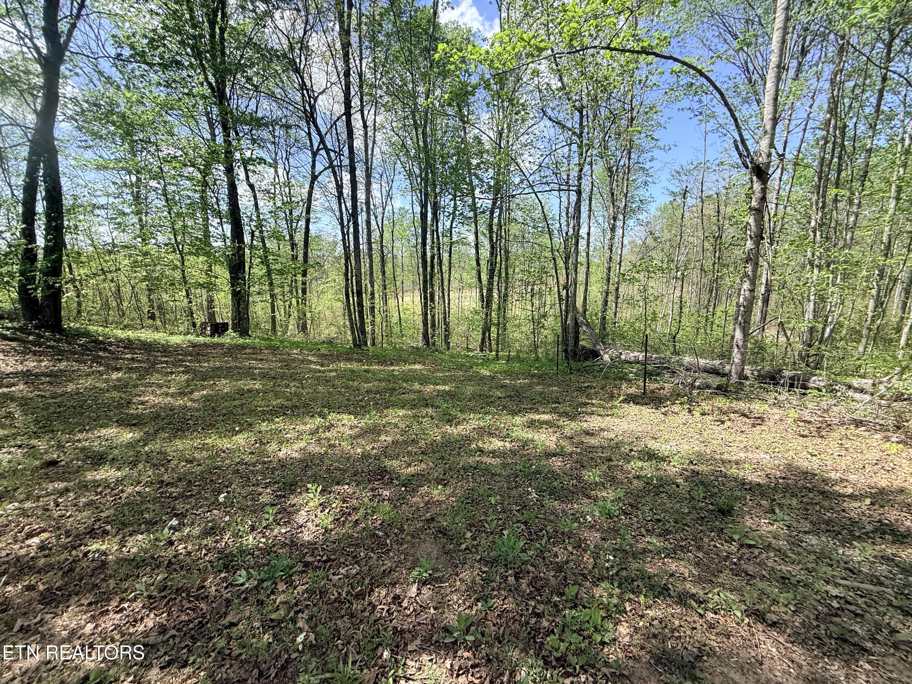 242 Joe Barnett Road Jamestown, TN 38556 - Photo 4 of 24 IMG_3577