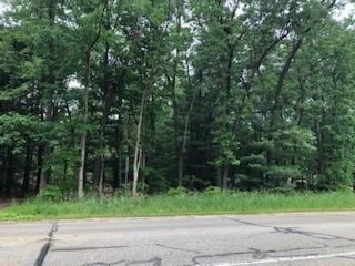 0 Carr Road Muskegon, MI 49442 - Photo 3 of 3 carr2