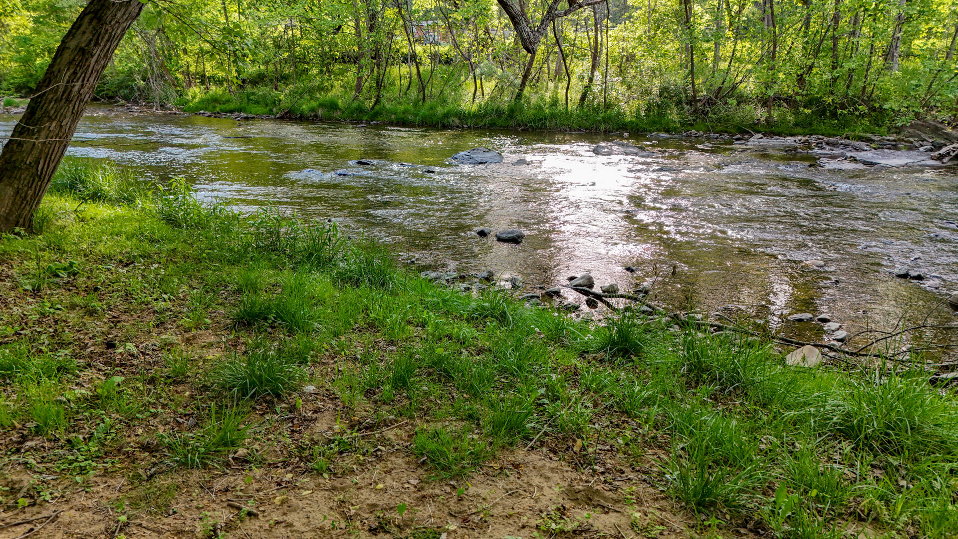 8796 Roanoke Road Elliston, VA 24087 - Photo 36 of 40 el river close up