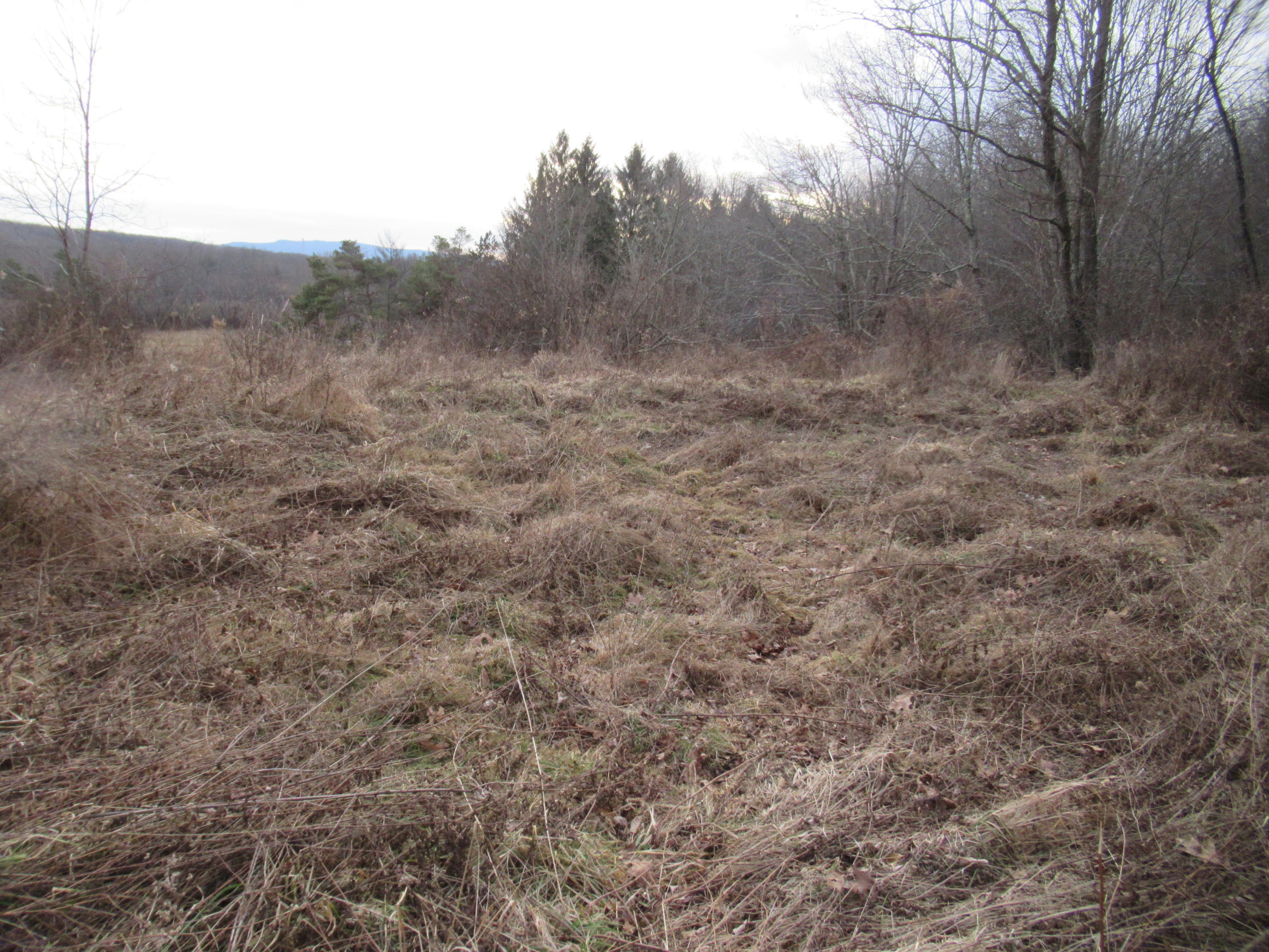 Loudermilk Road Crawley, WV 24931 - Photo 15 of 17 Gallery Image 15