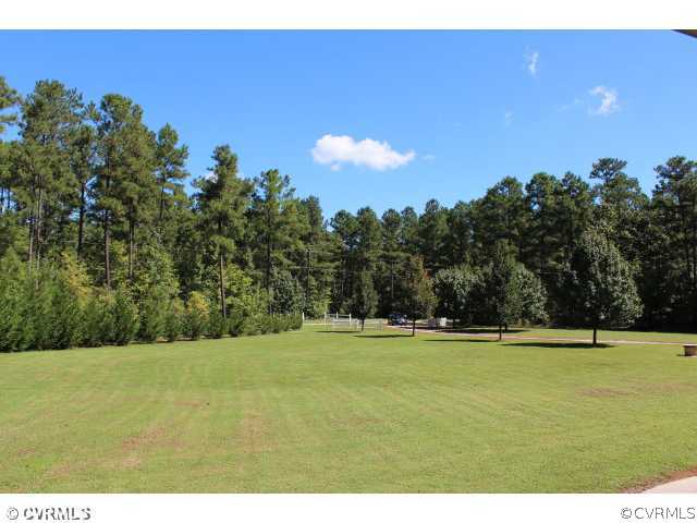 6724 Willow Hill Road Spring Grove, VA 23881 - Photo 2 of 24 Yard/Garden - Front Yard View from Porch
