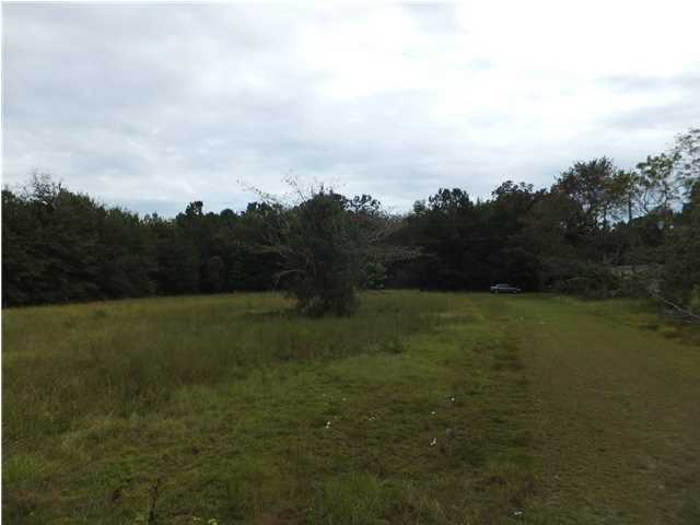 0 Mikell Hill Road Wadmalaw Island, SC 29487 - Photo 3 of 5 Additional Photo