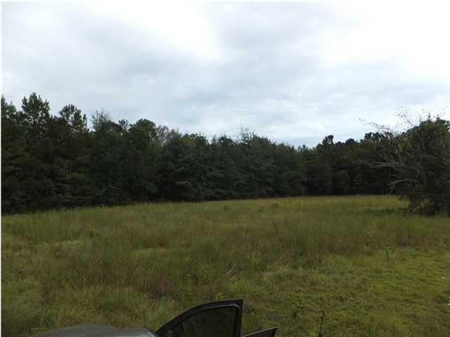 0 Mikell Hill Road Wadmalaw Island, SC 29487 - Photo 4 of 5 Additional Photo