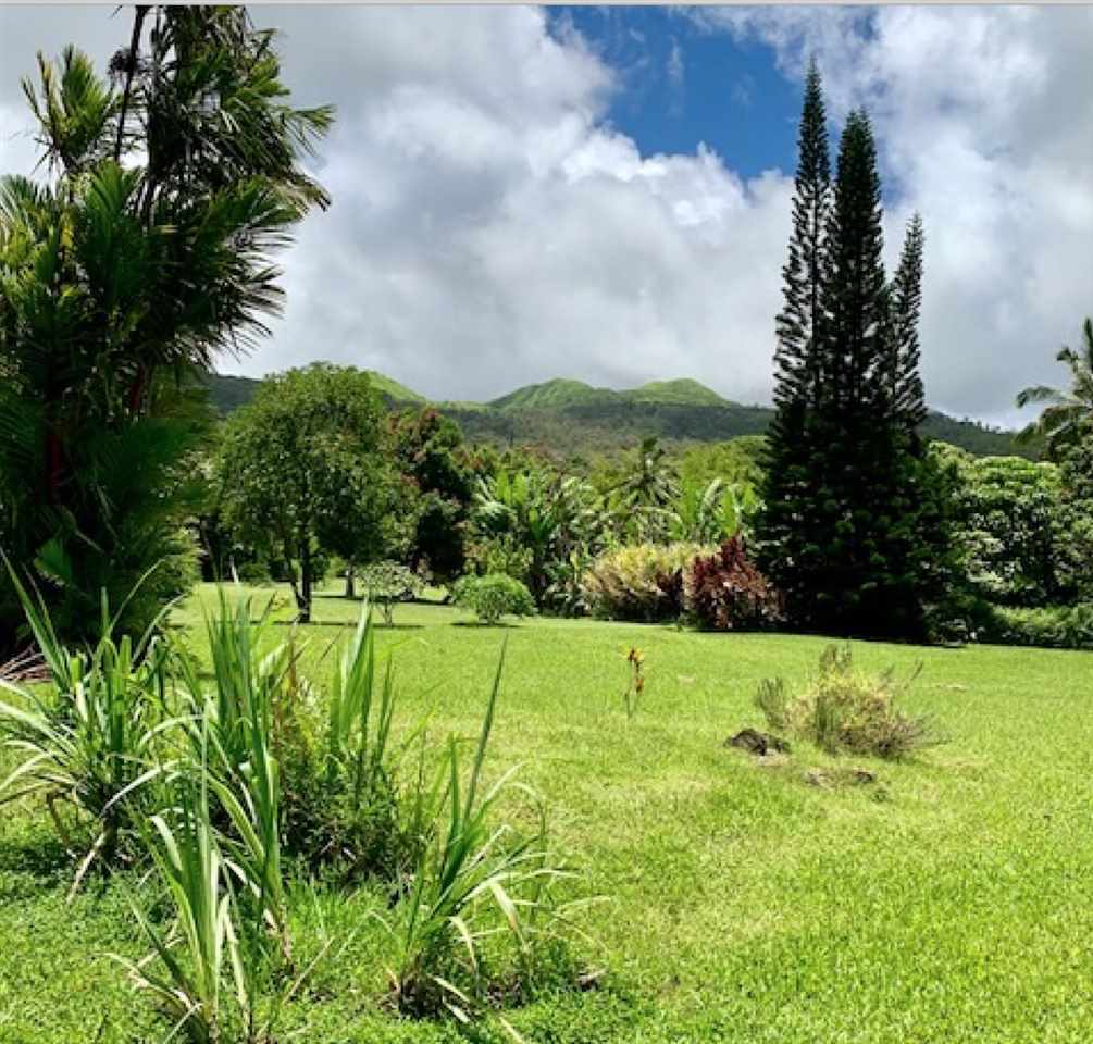 60 Kalo Road Hana, HI 96713 - Photo 29 of 30 a view of an outdoor space and a yard