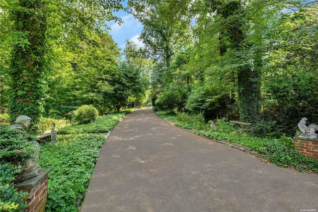 a view of a garden with plants