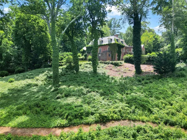 a view of a yard with plants and large trees