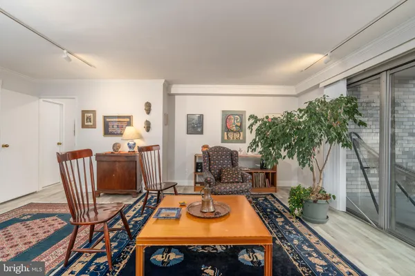 a room with furniture and a potted plant