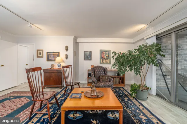 a room with furniture and a potted plant