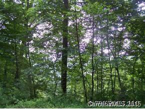 500 Stroup Ridge Road Waynesville, NC 28785 - Photo 4 of 12