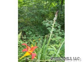 500 Stroup Ridge Road Waynesville, NC 28785 - Photo 5 of 12