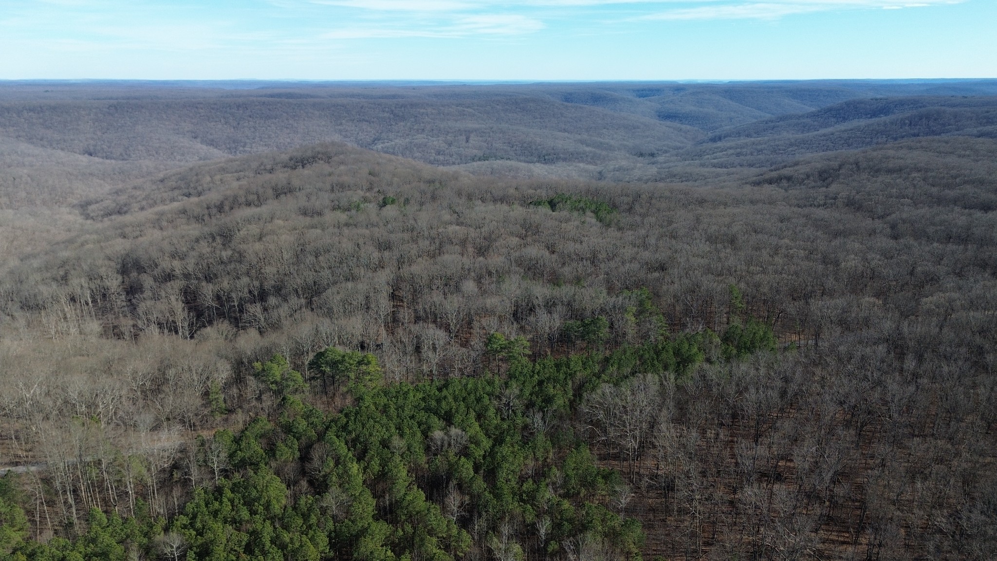 0 Old Shook Road Belvidere, TN 37306 - Photo 11 of 13 a view of a field with an ocean