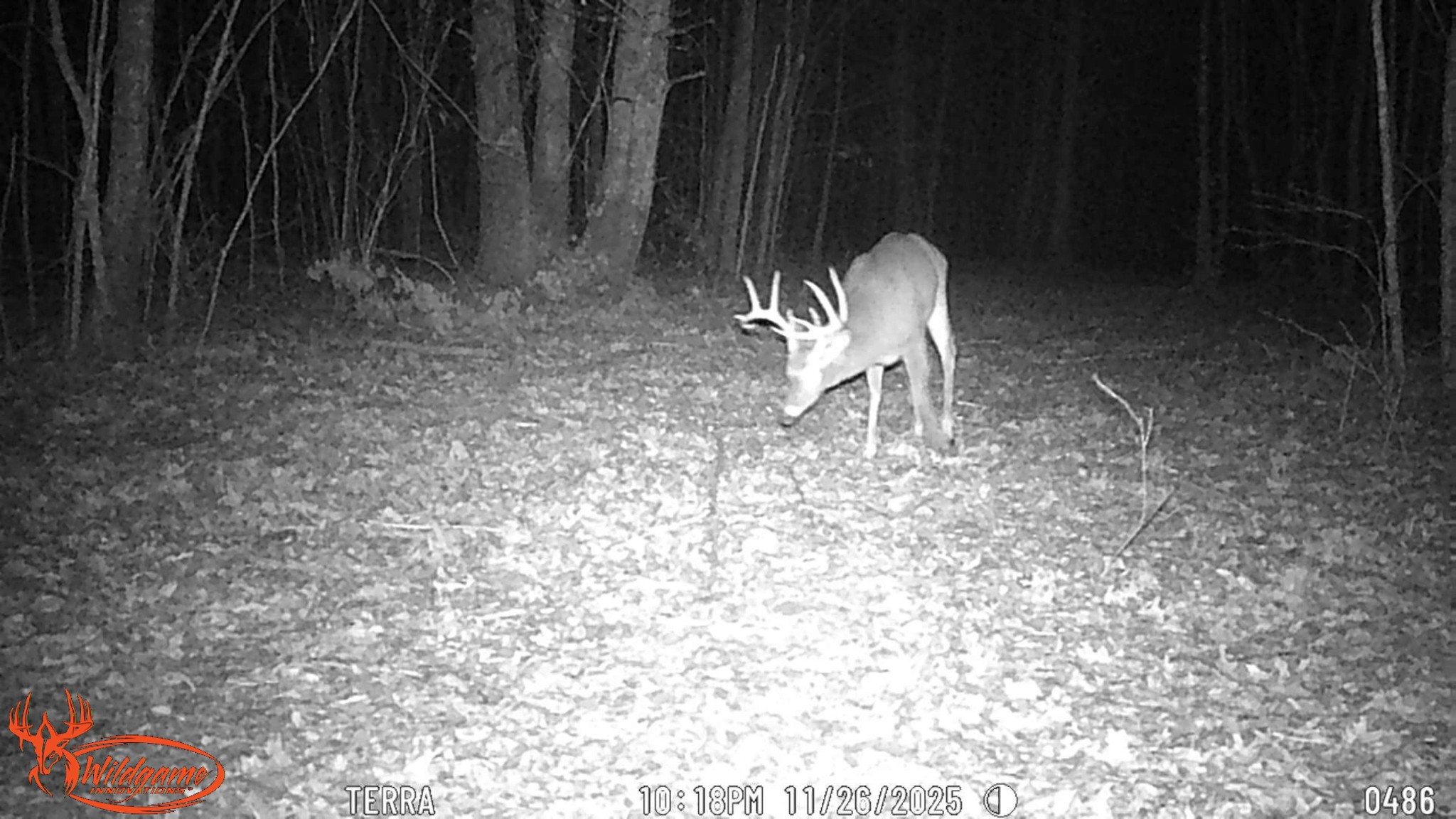 0 Old Shook Road Belvidere, TN 37306 - Photo 12 of 13 a view of a backyard