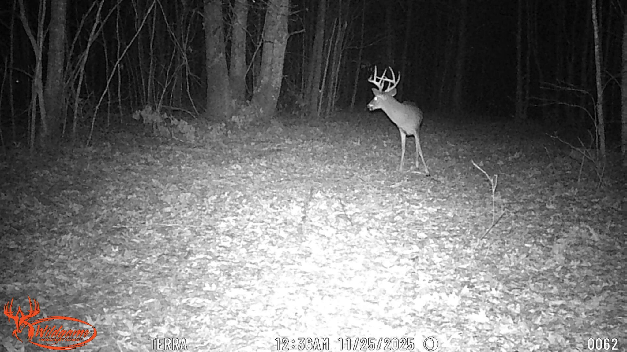 0 Old Shook Road Belvidere, TN 37306 - Photo 13 of 13 a living room with furniture and a wooden floor