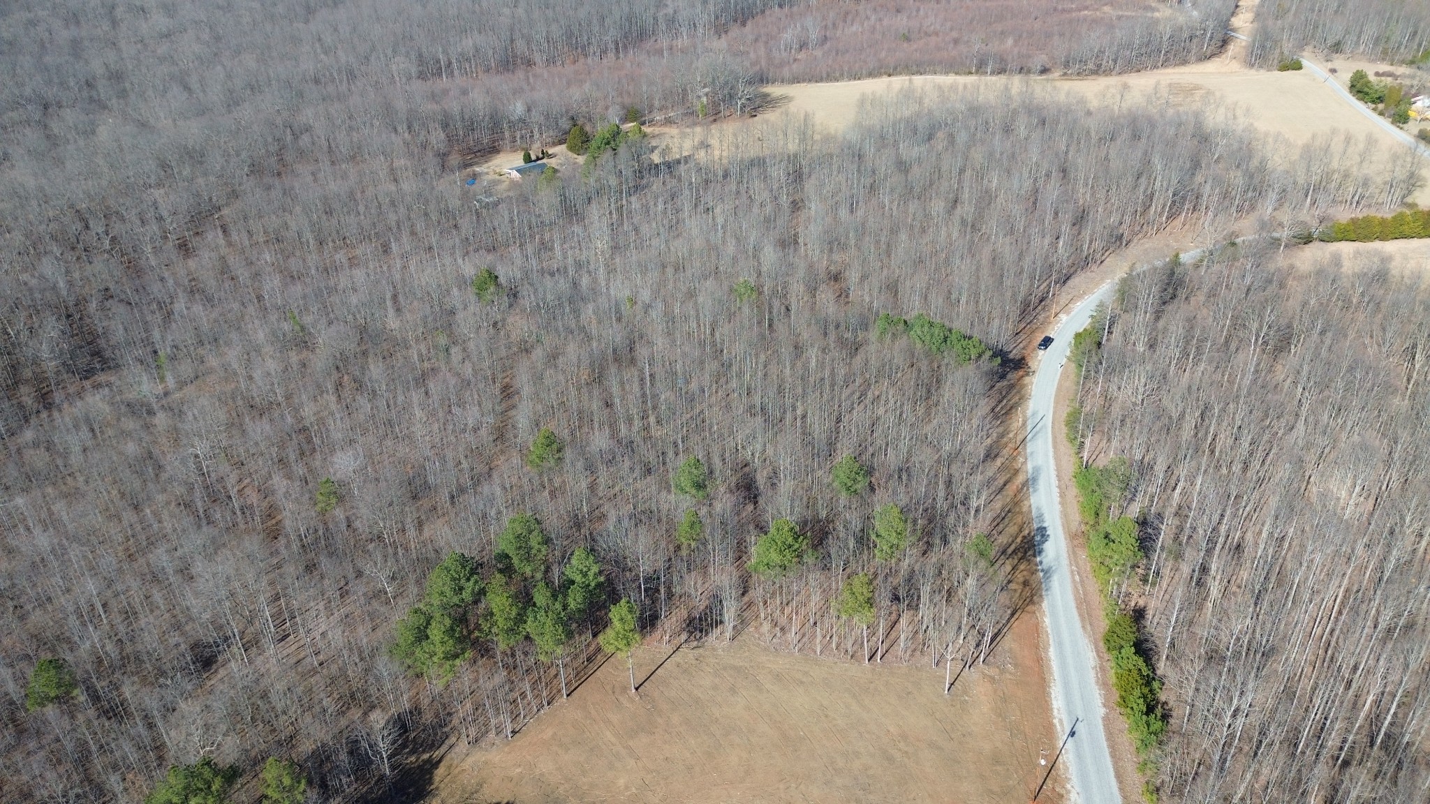 0 Old Shook Road Belvidere, TN 37306 - Photo 4 of 13 a view of a dry yard