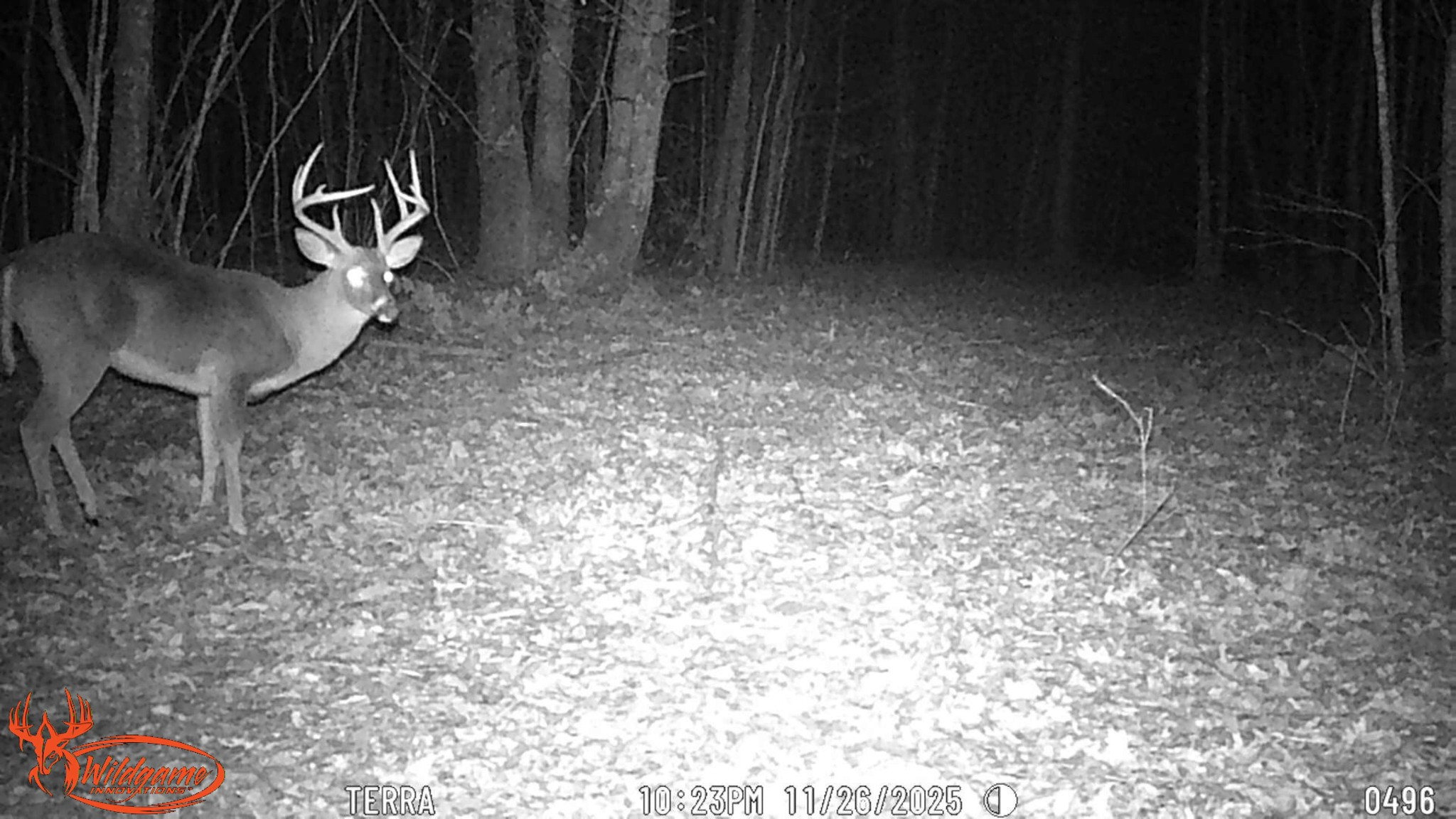 0 Old Shook Road Belvidere, TN 37306 - Photo 7 of 13 a view of wooden floor in a room