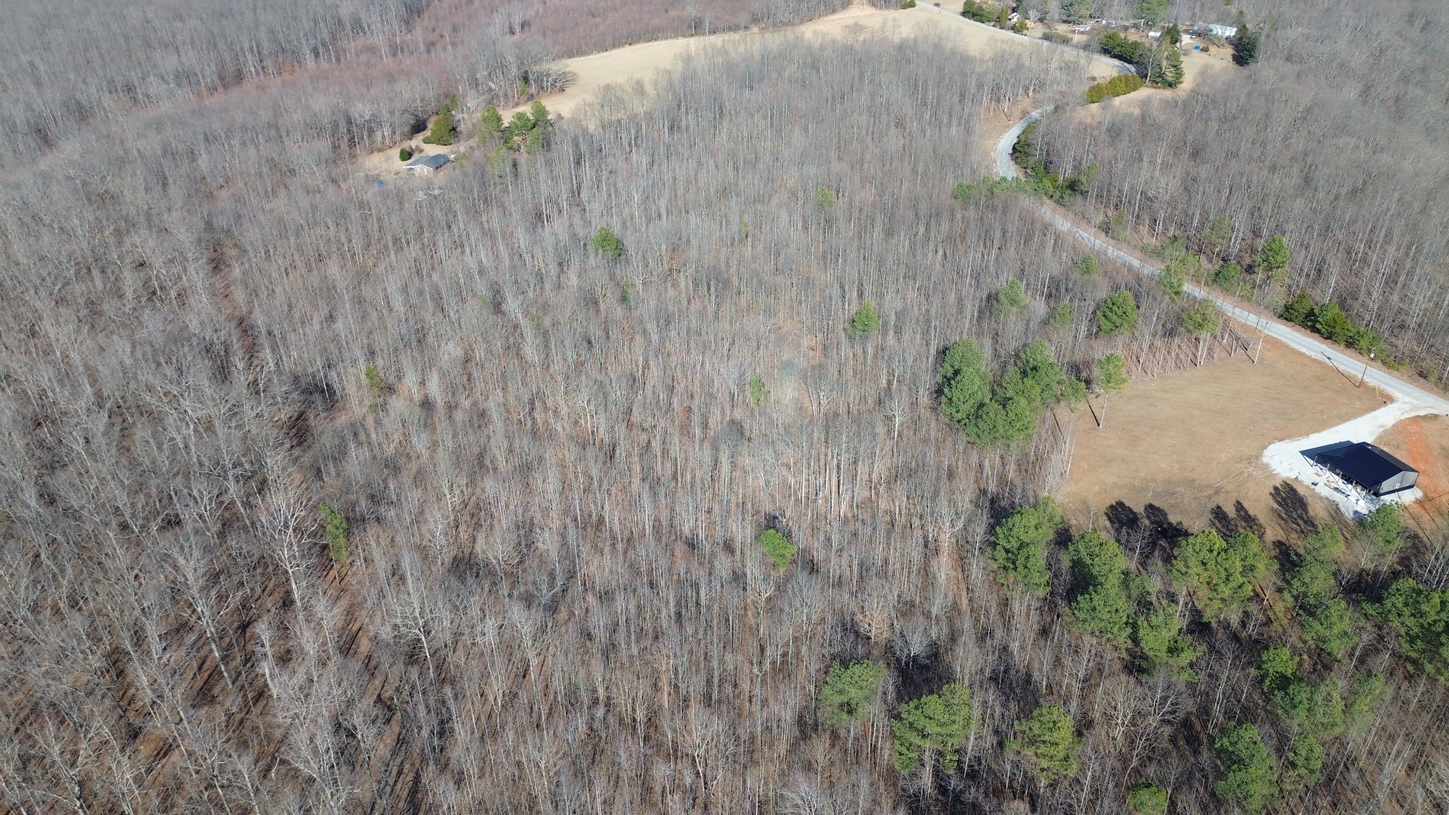 0 Old Shook Road Belvidere, TN 37306 - Photo 9 of 13