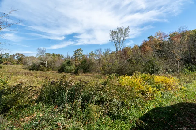 a view of a yard with plants and a bench