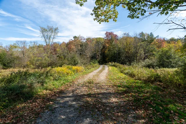 a view of outdoor space with trees all around