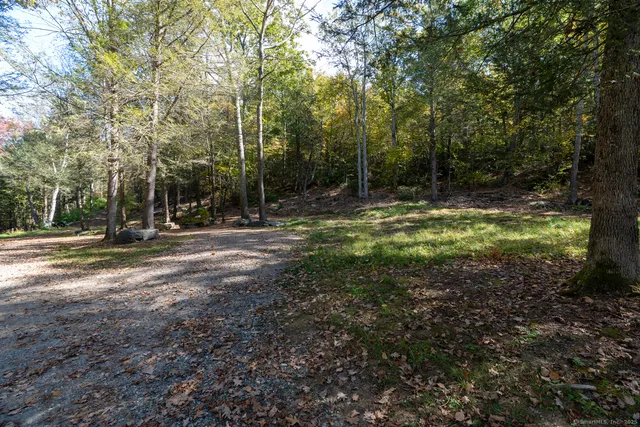 a backyard of a house with swimming pool and trees