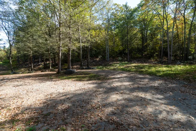 a view of a backyard with trees