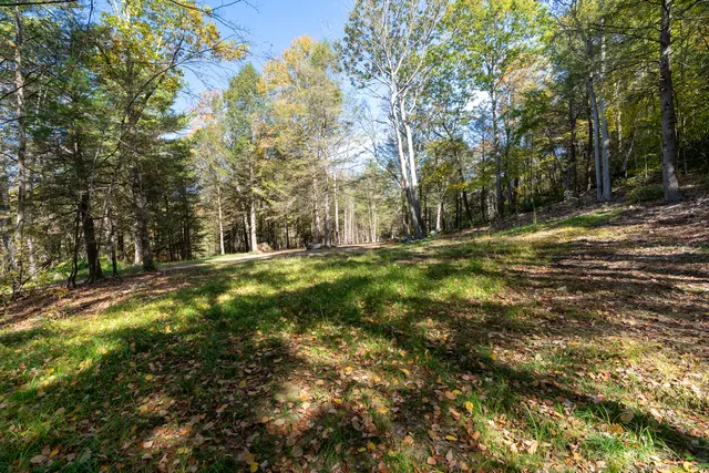 a view of outdoor space and trees