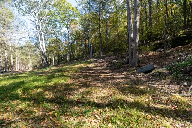 a view of a yard with plants and trees