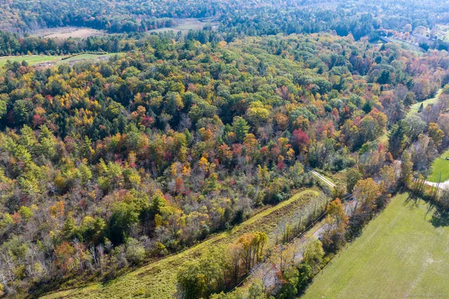a view of a forest with a forest