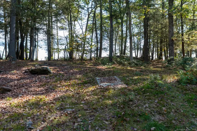 a backyard of a house with lots of green space and fountain