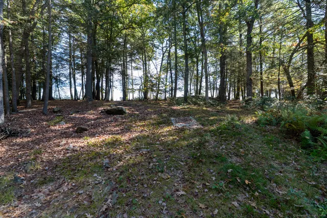 a view of outdoor space with trees