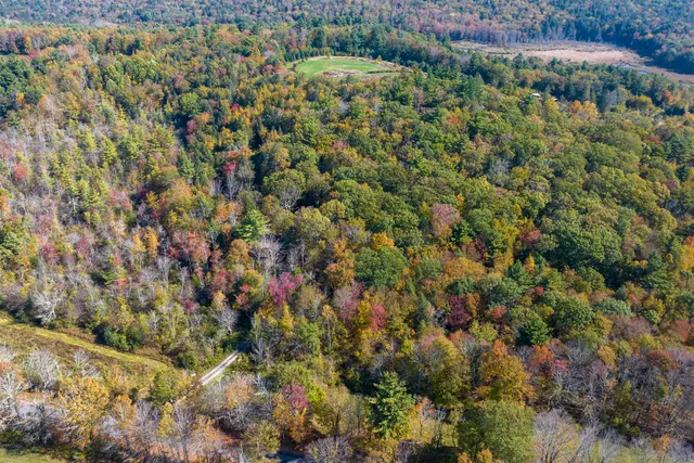 a view of a field with a tree