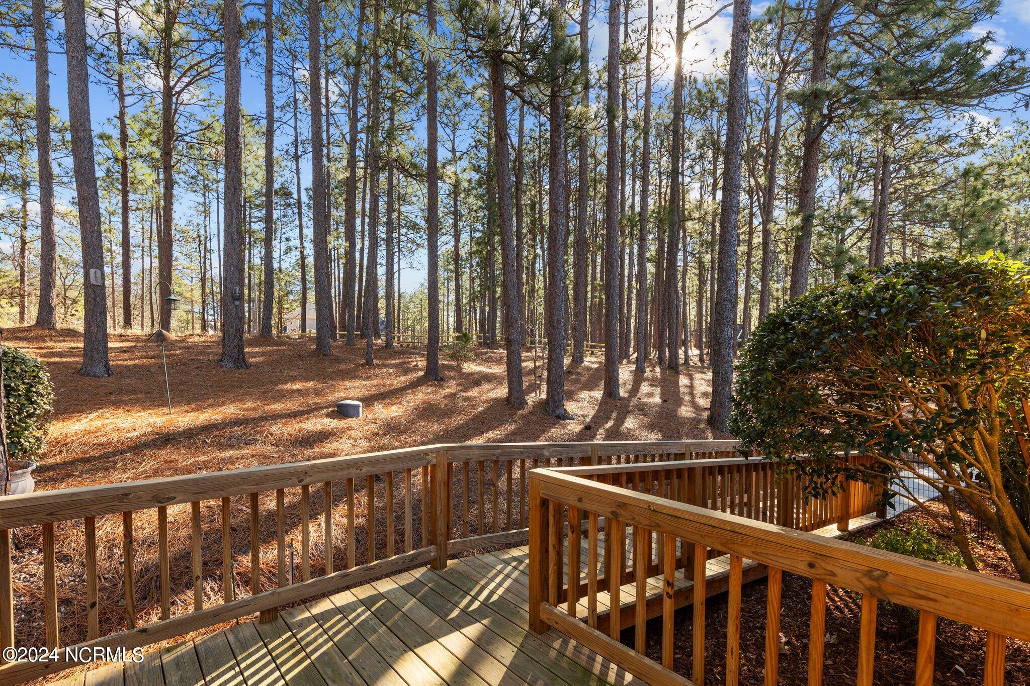 114 P3093 West End, NC 27376 - Photo 38 of 53 52-web-or-mls-707A8297