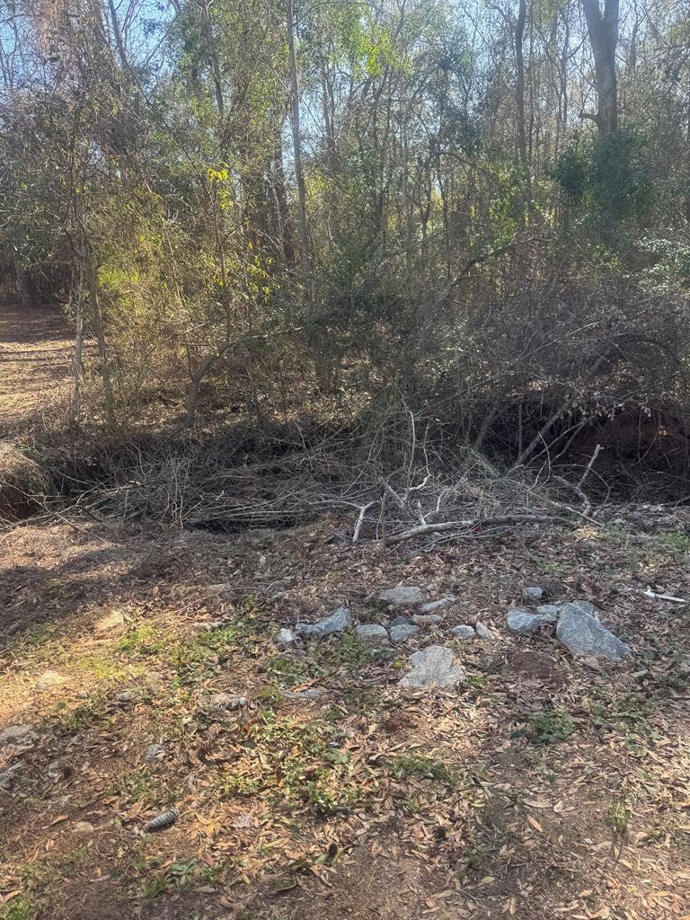 0 Vining Drive Dothan, AL 36303 - Photo 5 of 7
