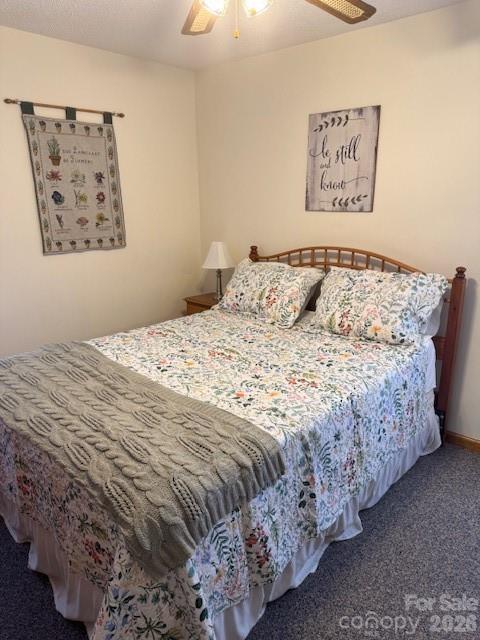 918 Plott Balsam Road Maggie Valley, NC 28751 - Photo 23 of 30