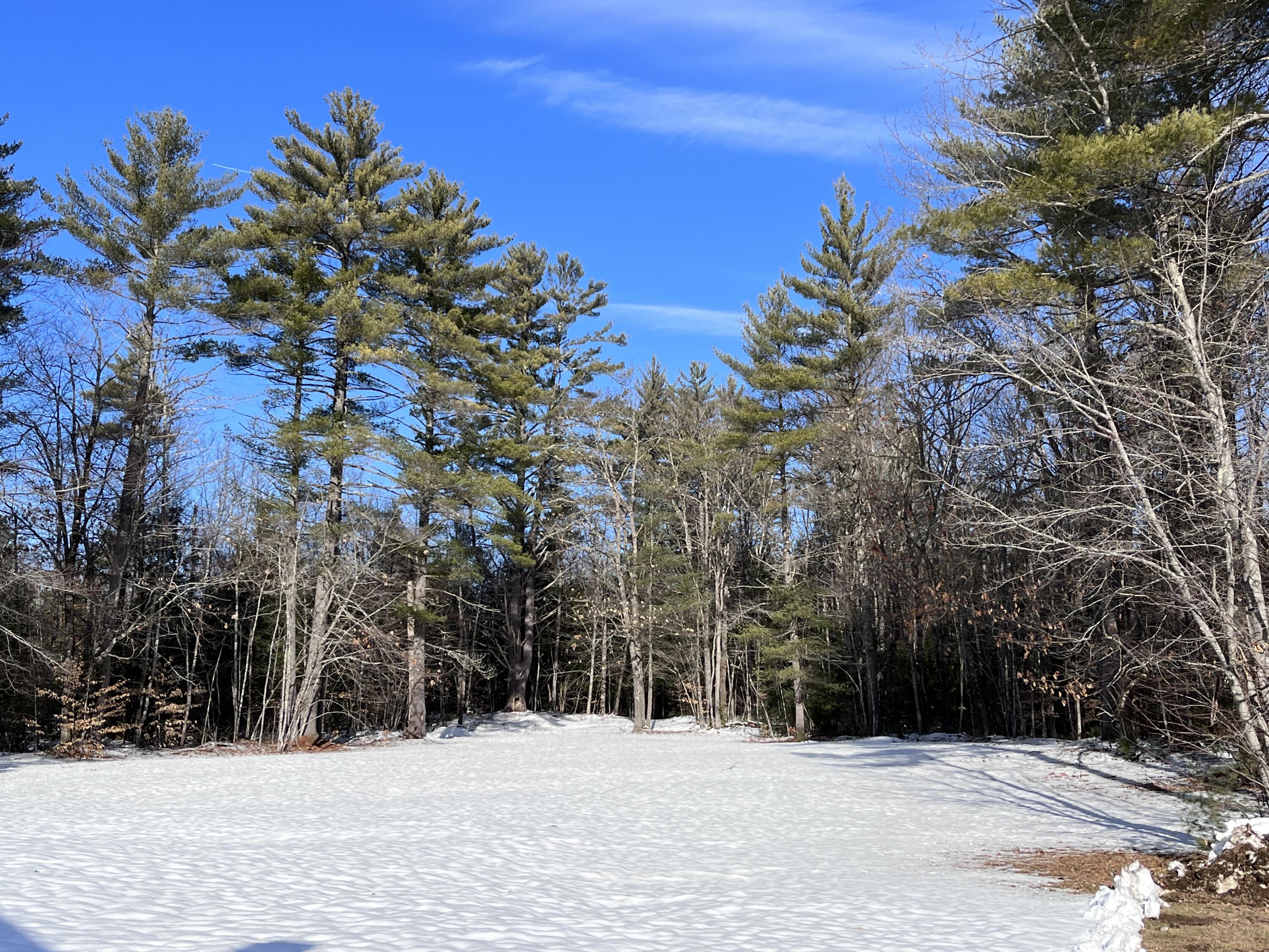 177 River Road West Baldwin, ME 04091 - Photo 43 of 47 IMG_3951