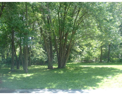 10 Springdale Road Lexington, MA 02421 - Photo 11 of 11