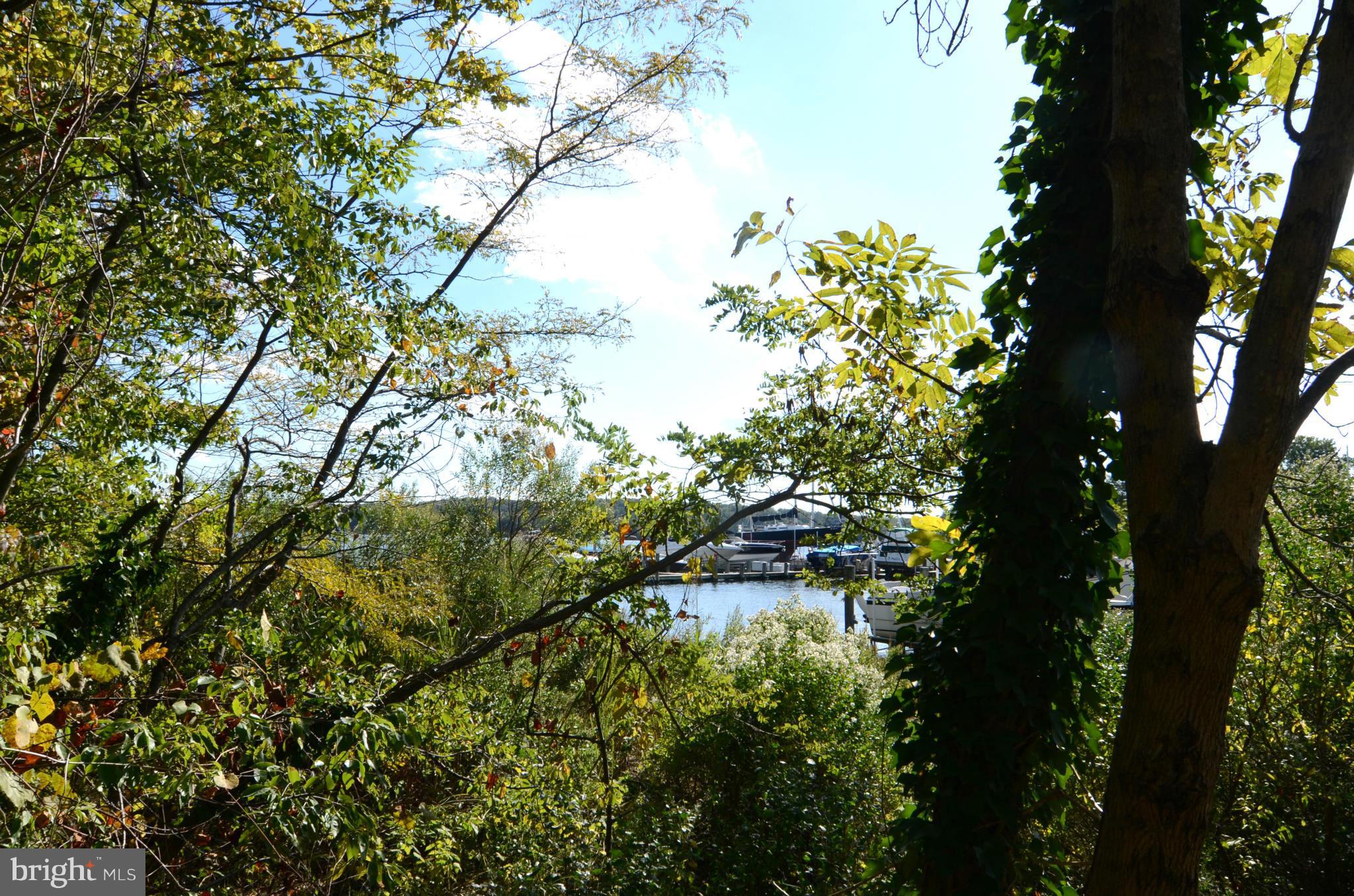 1548 Widows Mite Road Edgewater, MD 21037 - Photo 11 of 17 View of Water from Lot