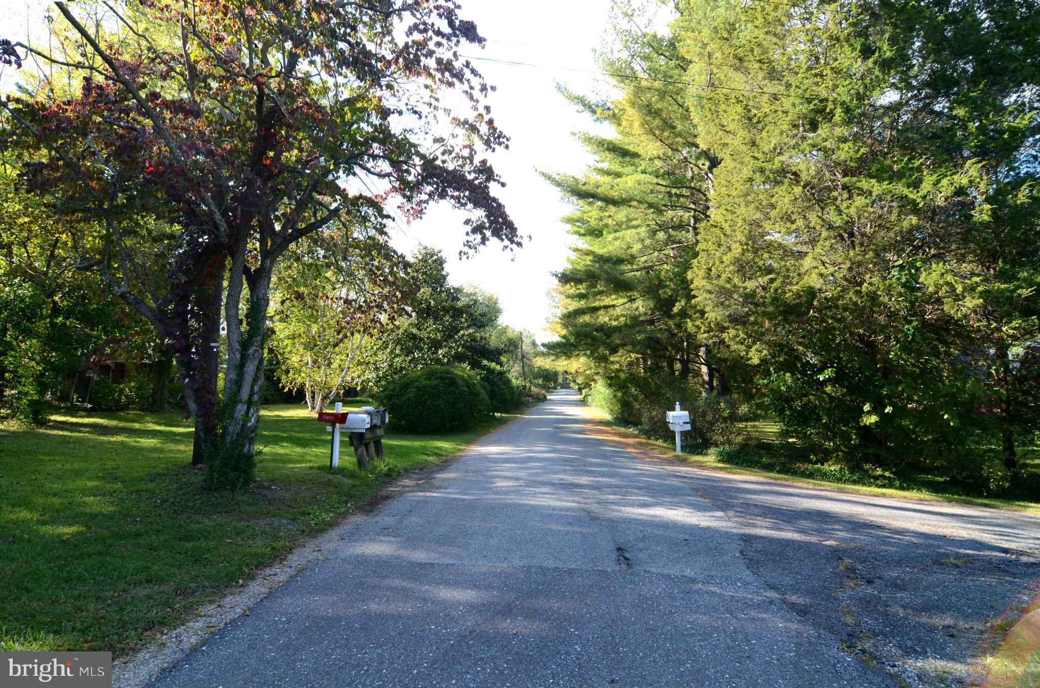 1548 Widows Mite Road Edgewater, MD 21037 - Photo 14 of 17 View from Lot to Street