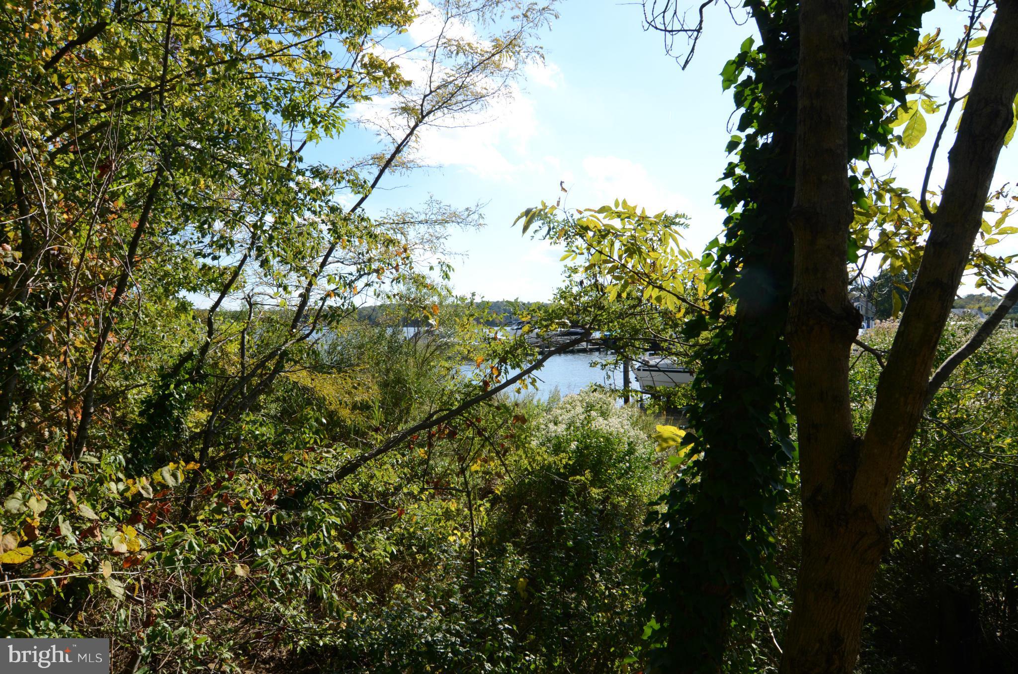 1548 Widows Mite Road Edgewater, MD 21037 - Photo 15 of 17 View of Water from Lot