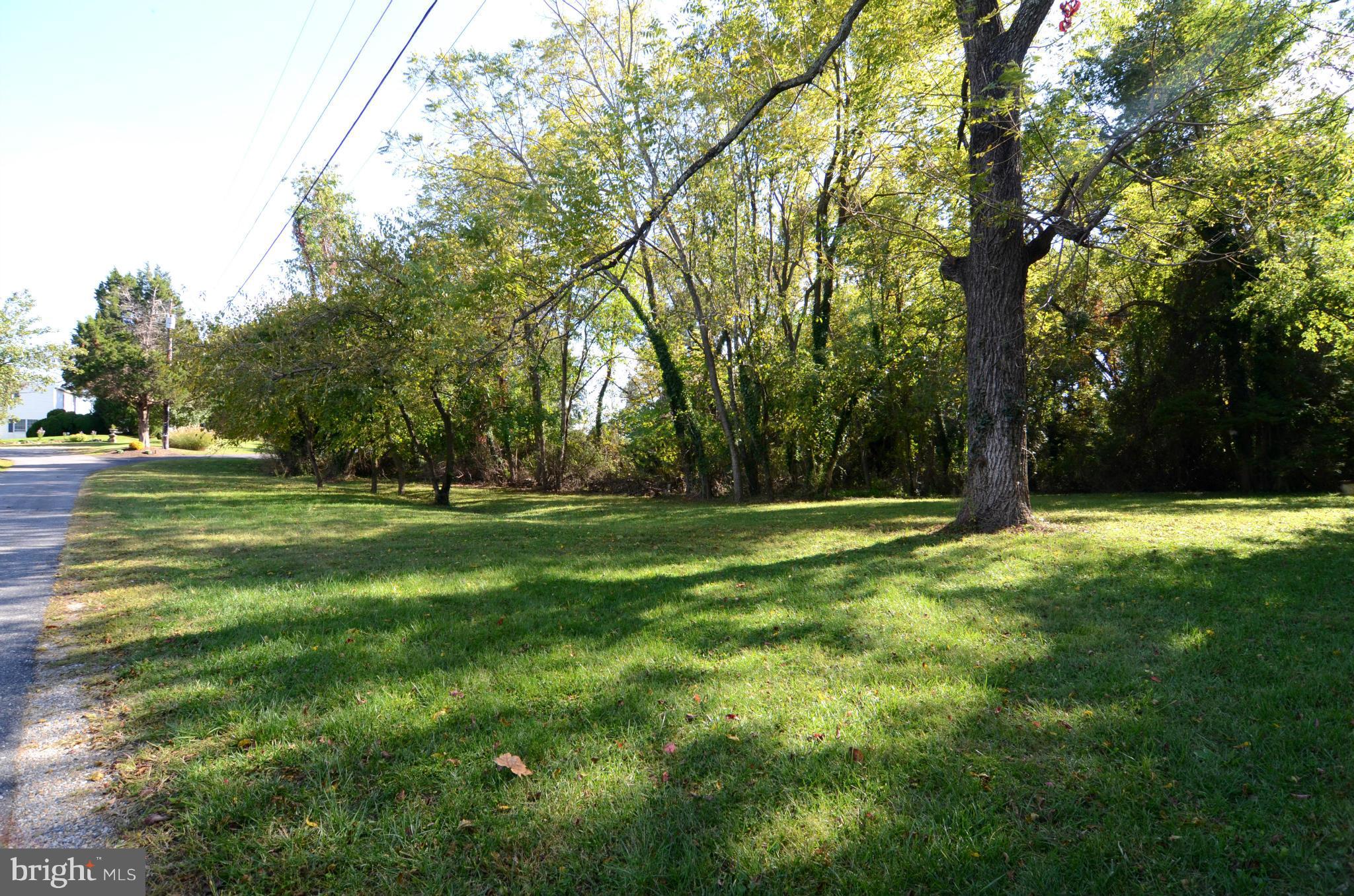 1548 Widows Mite Road Edgewater, MD 21037 - Photo 6 of 17 View of Lot