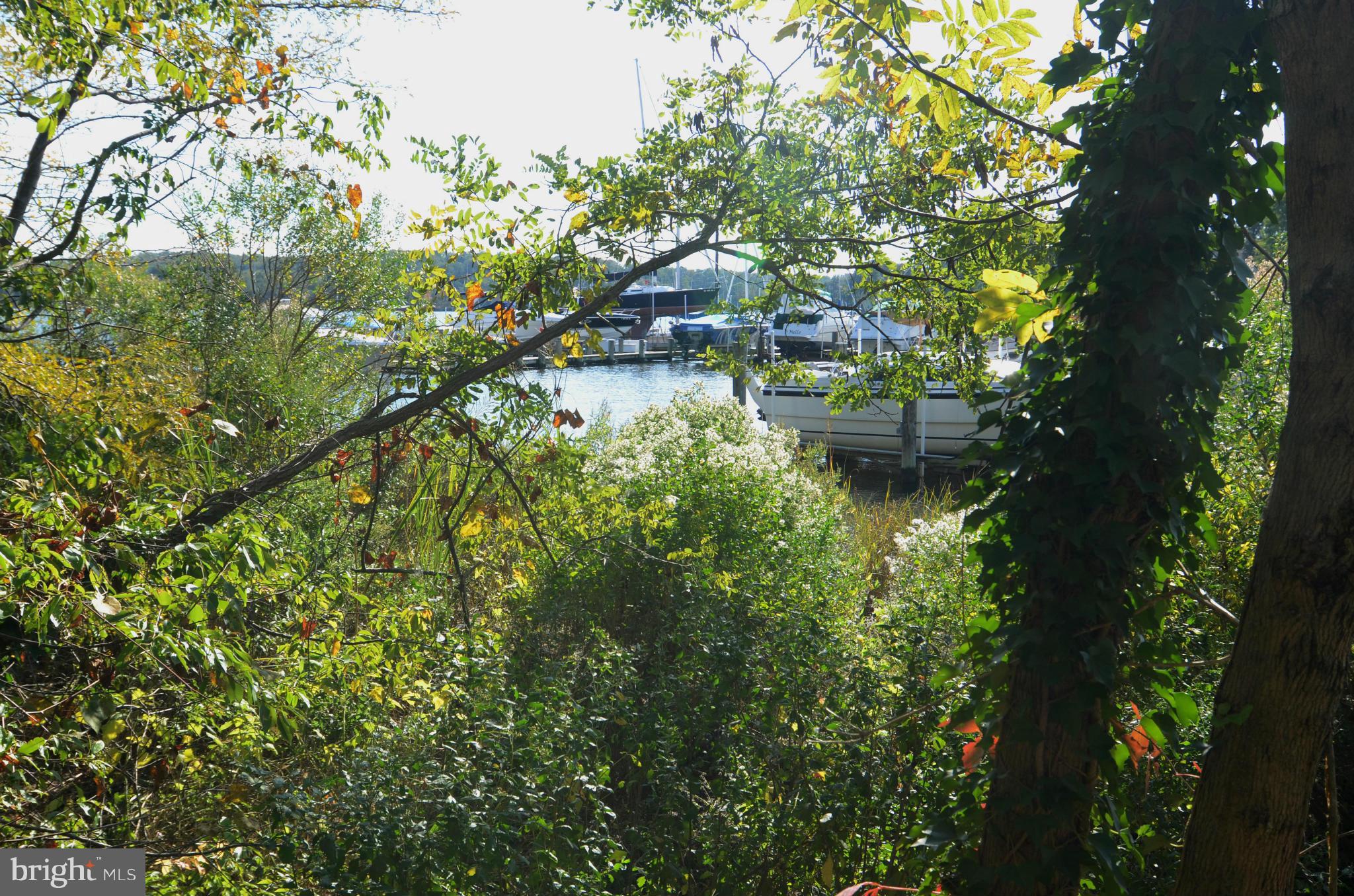 1548 Widows Mite Road Edgewater, MD 21037 - Photo 10 of 17 View of Water from Lot