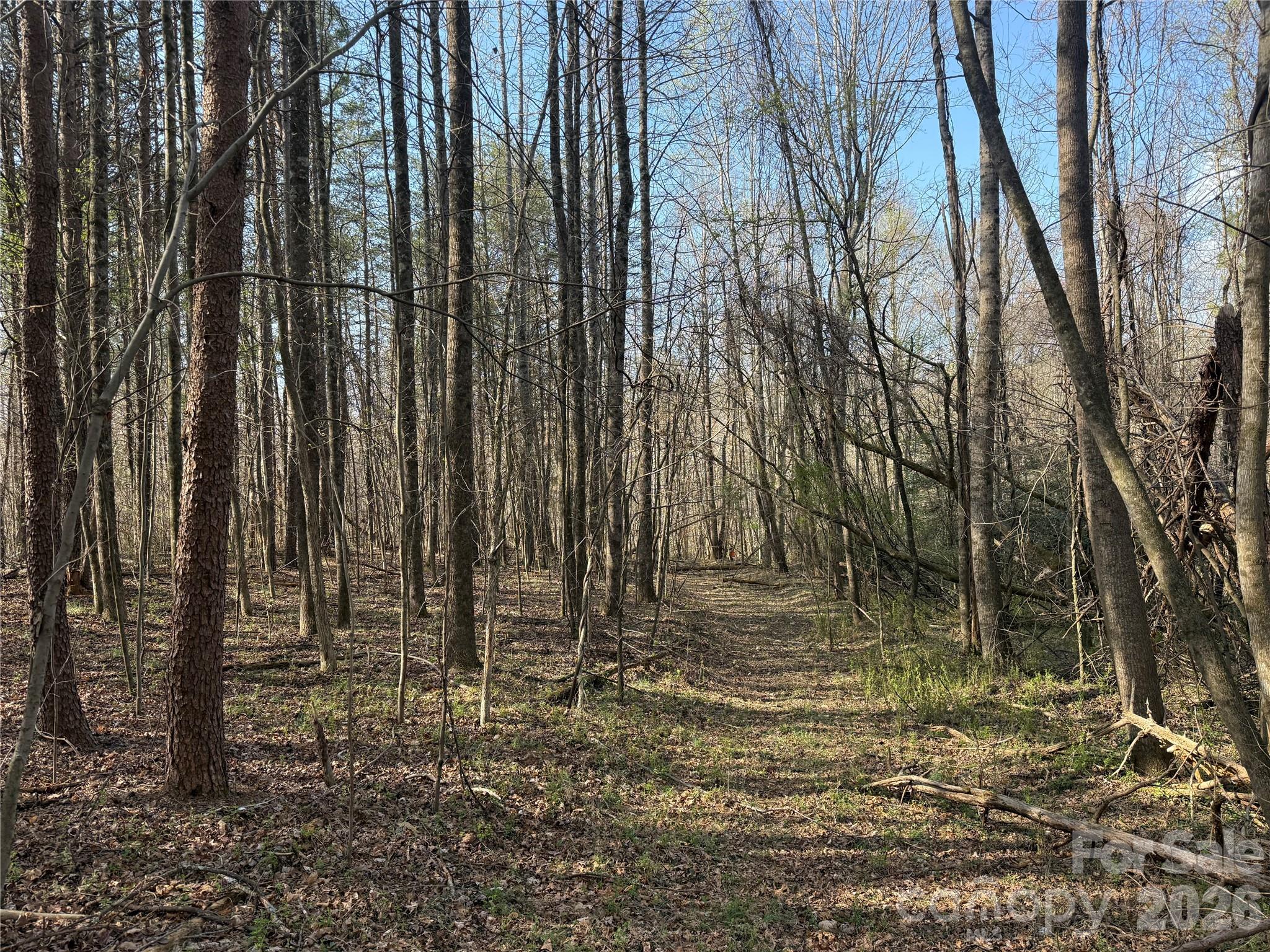 1164 Robert C Kellam Road Pinnacle, NC 27043 - Photo 15 of 48 a view of backyard with green space
